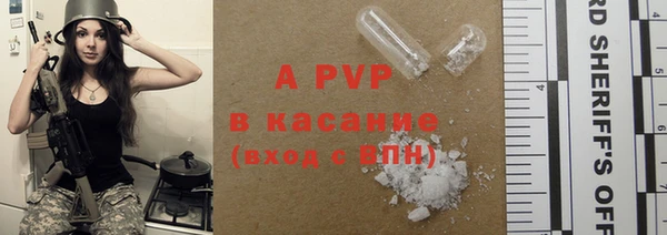 спайс Тавда
