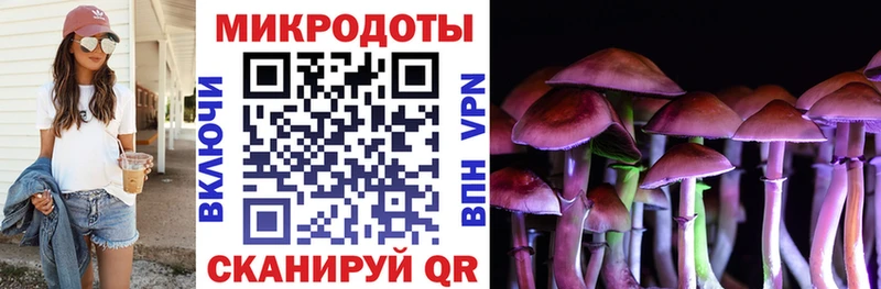 дарнет шоп  Дно  Псилоцибиновые грибы мухоморы 